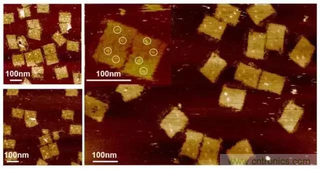 中美科學(xué)家聯(lián)手，用DNA納米機器人殺死癌細胞