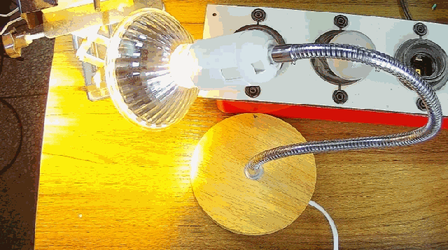 電燈泡內(nèi)通有交流電，為什么看不到燈泡在閃爍？